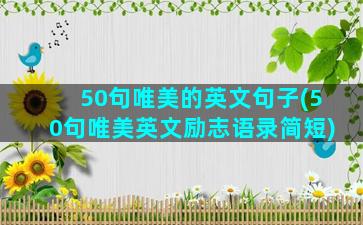 50句唯美的英文句子(50句唯美英文励志语录简短)