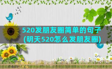 520发朋友圈简单的句子(明天520怎么发朋友圈)