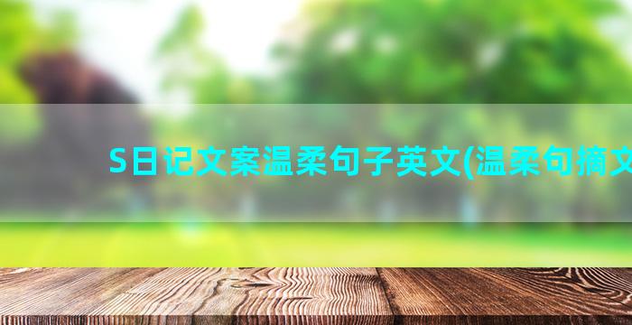 S日记文案温柔句子英文(温柔句摘文案)