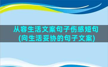 从容生活文案句子伤感短句(向生活妥协的句子文案)