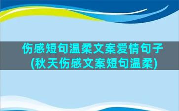 伤感短句温柔文案爱情句子(秋天伤感文案短句温柔)