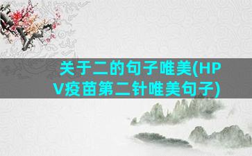 关于二的句子唯美(HPV疫苗第二针唯美句子)