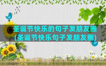 圣诞节快乐的句子发朋友圈(圣诞节快乐句子发朋友圈)