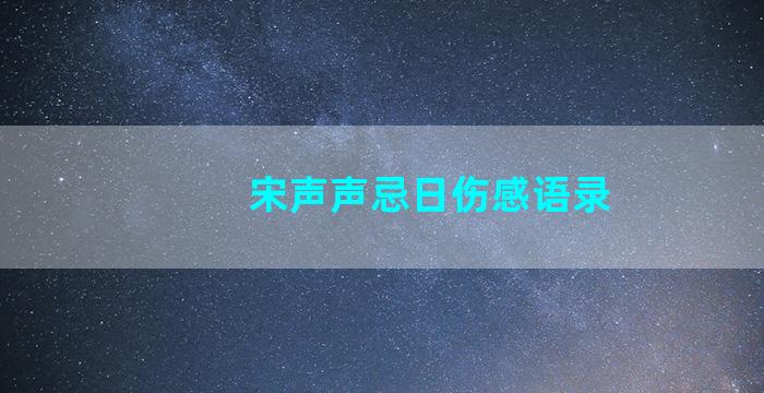 宋声声忌日伤感语录