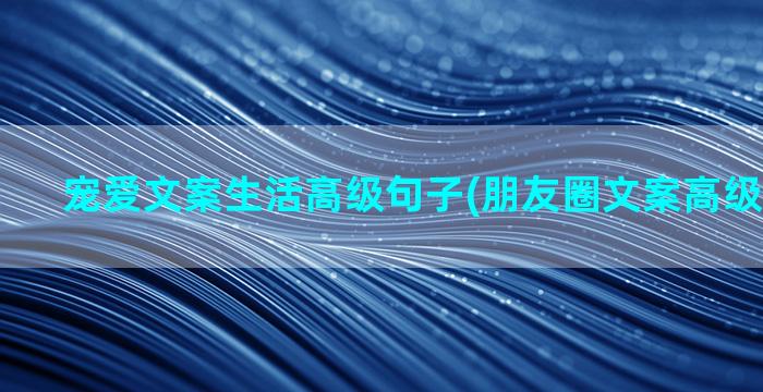 宠爱文案生活高级句子(朋友圈文案高级短句生活)