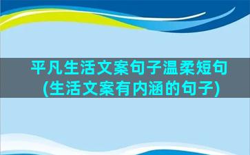 平凡生活文案句子温柔短句(生活文案有内涵的句子)