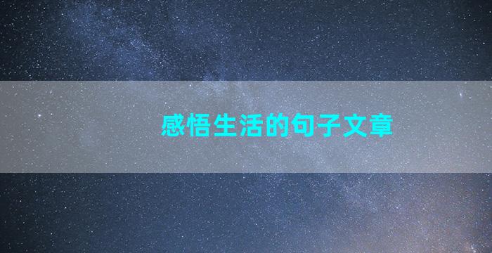 感悟生活的句子文章