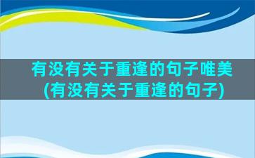 有没有关于重逢的句子唯美(有没有关于重逢的句子)