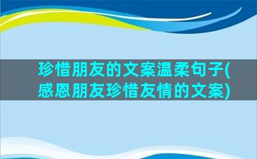 珍惜朋友的文案温柔句子(感恩朋友珍惜友情的文案)