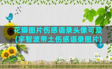 花瓣图片伤感语录头像可爱(宇智波带土伤感语录图片)