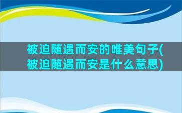 被迫随遇而安的唯美句子(被迫随遇而安是什么意思)