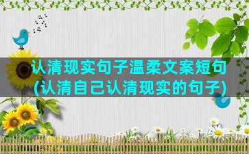 认清现实句子温柔文案短句(认清自己认清现实的句子)