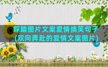 踩踏图片文案爱情搞笑句子(双向奔赴的爱情文案图片)