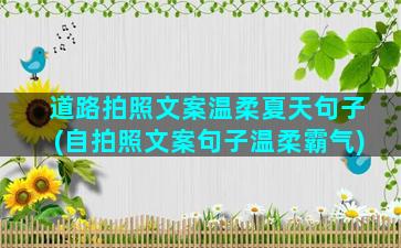 道路拍照文案温柔夏天句子(自拍照文案句子温柔霸气)