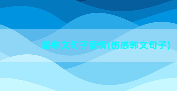 鹏韩文句子爱情(伤感韩文句子)